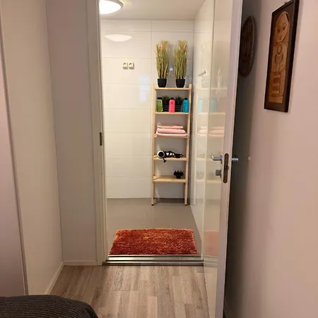 Factory Studio Séjour chez l'habitant *